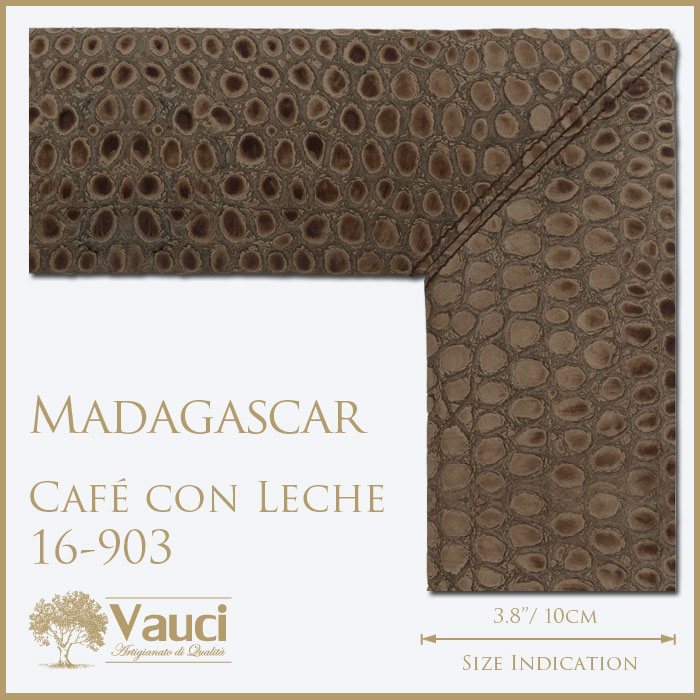 Madagascar-Cafe con Leche-16903