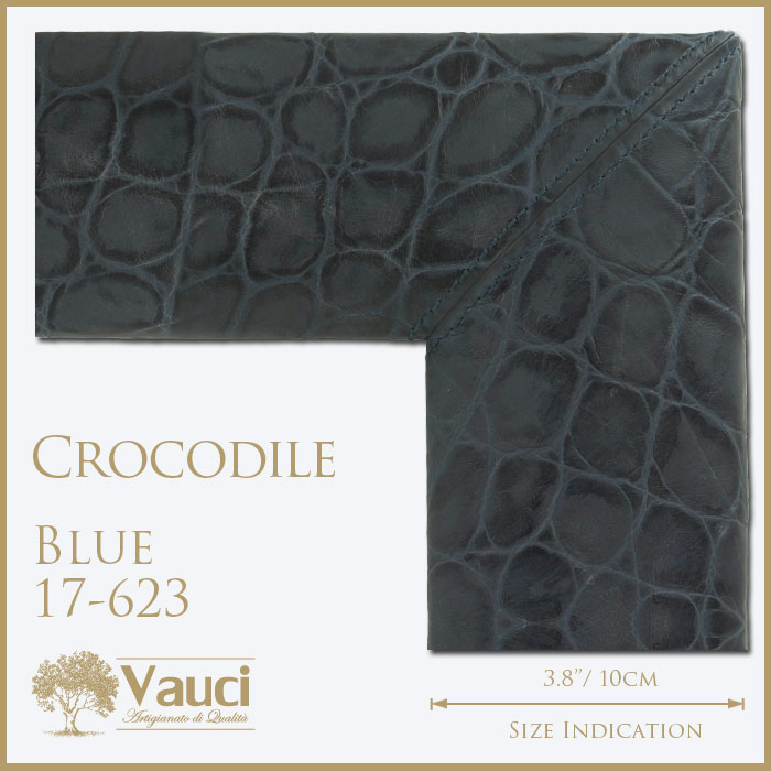 Crocodile-Eastern Blue-17623