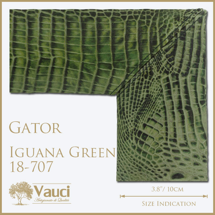 Gator-Iguana Green-18707