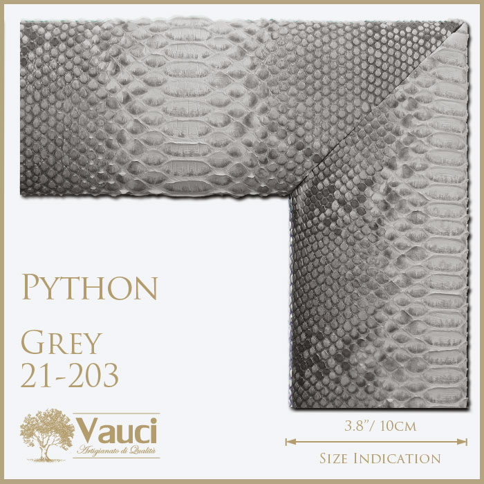 Python-Grey-21203